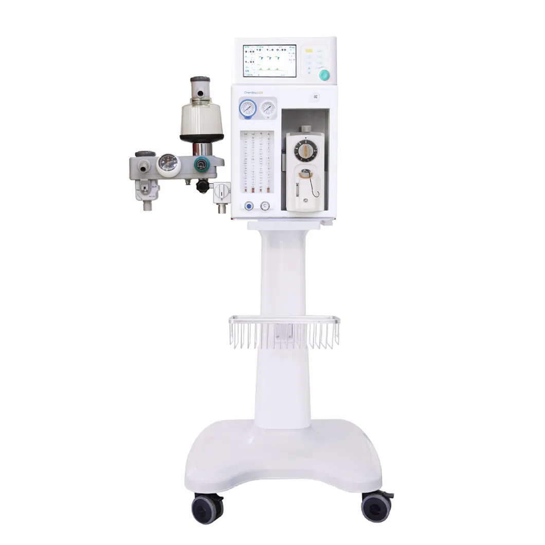 Product Display