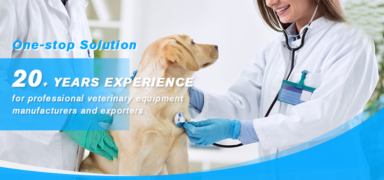 Veterinary Equipment