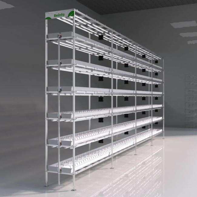 New Agriculture Smart Hydroponic Dripping System for Indoor Vertical Strawberry Farm