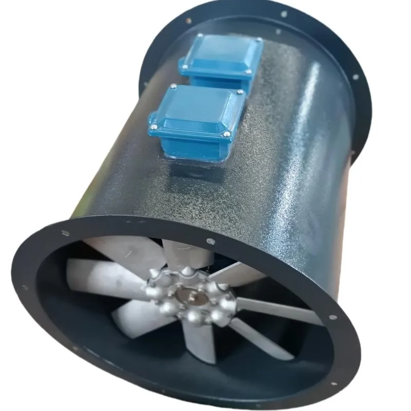 Detailed Fan View