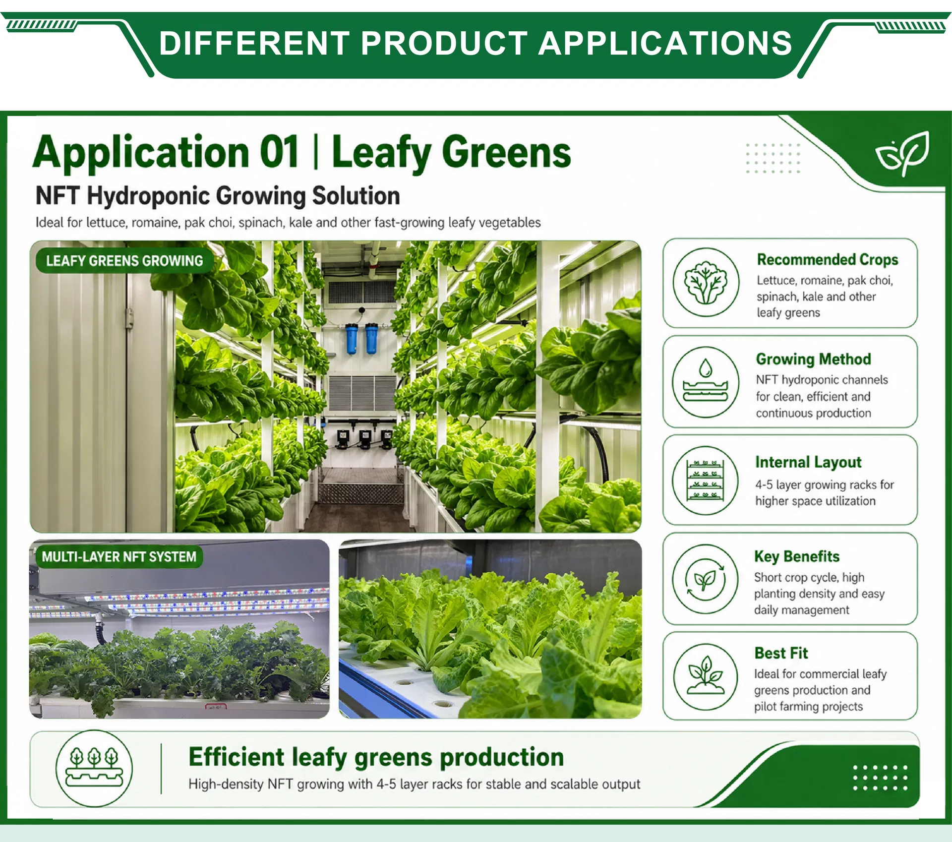 Leafy Greens