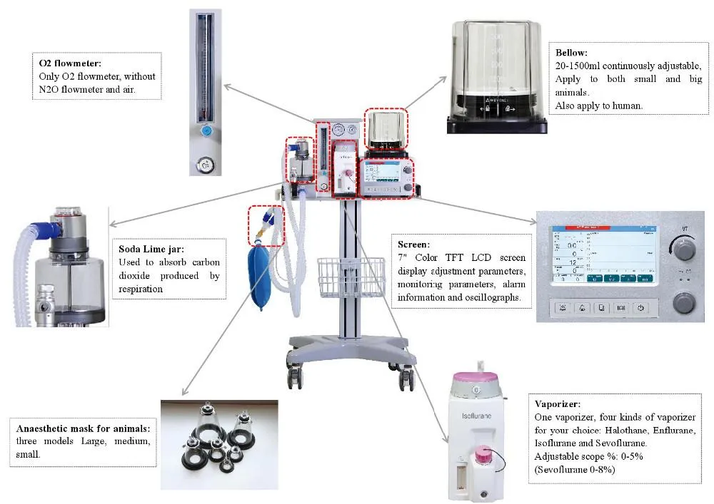 Pet Surgical Breathing Equipment