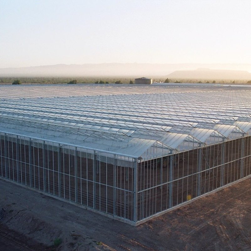 Advanced Agricultural Glass Green House with Automated Control System