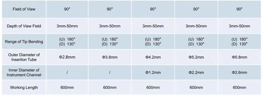 Endoscope Details 3