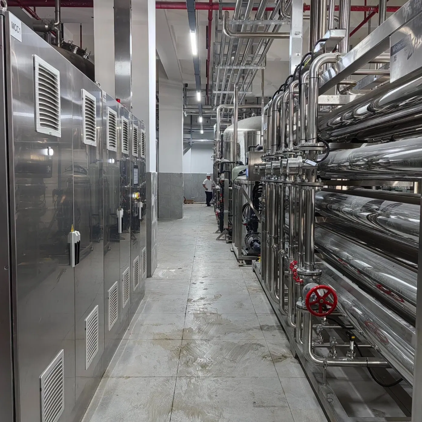 SS316L Pharmaceutical Water System Pure Water System RO System