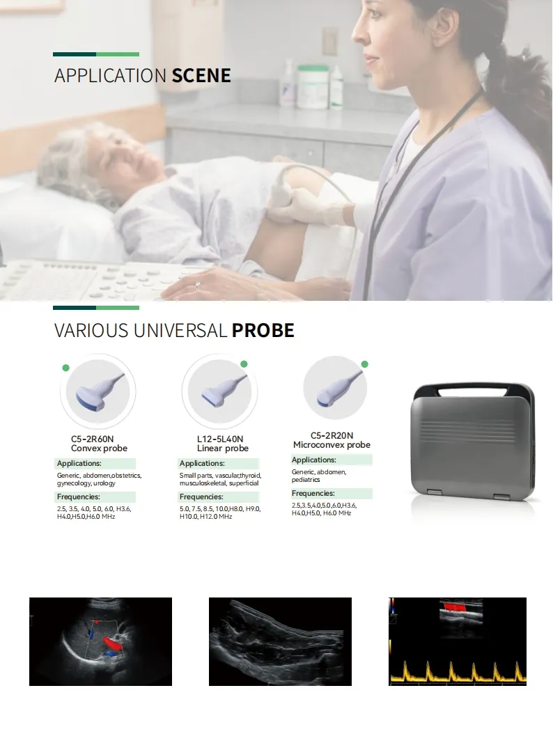 Ultrasound Imaging 5