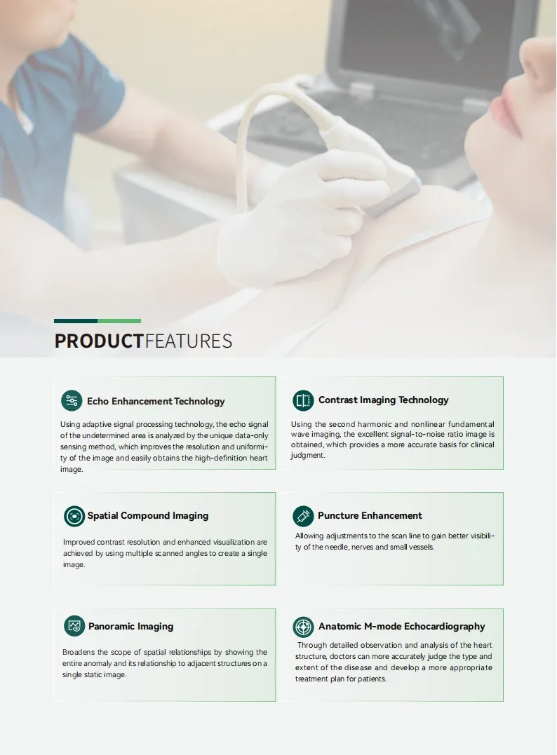 Ultrasound Imaging 3