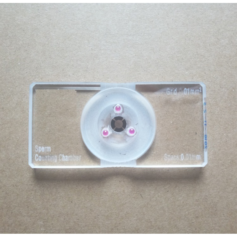 in-QC1 Sperm Counting Chamber with Ruby for Clinical Diagnostics