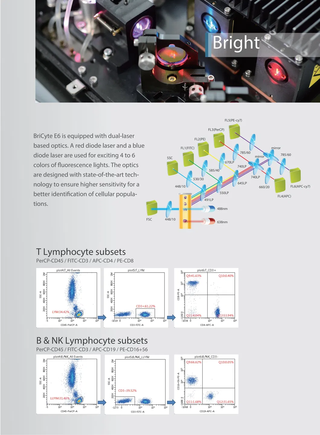 Detailed Specification 2
