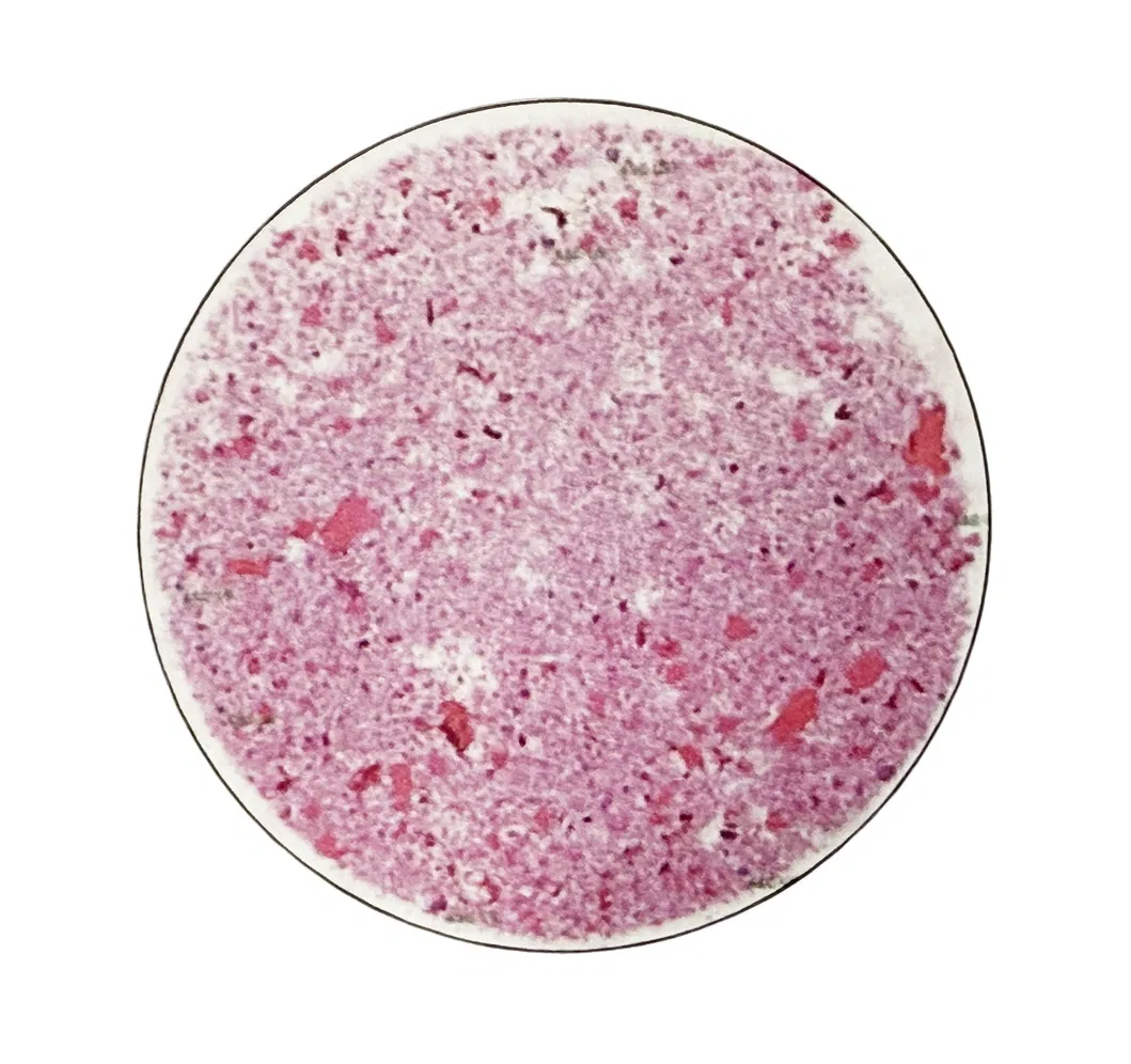 Pathological Analysis System 3