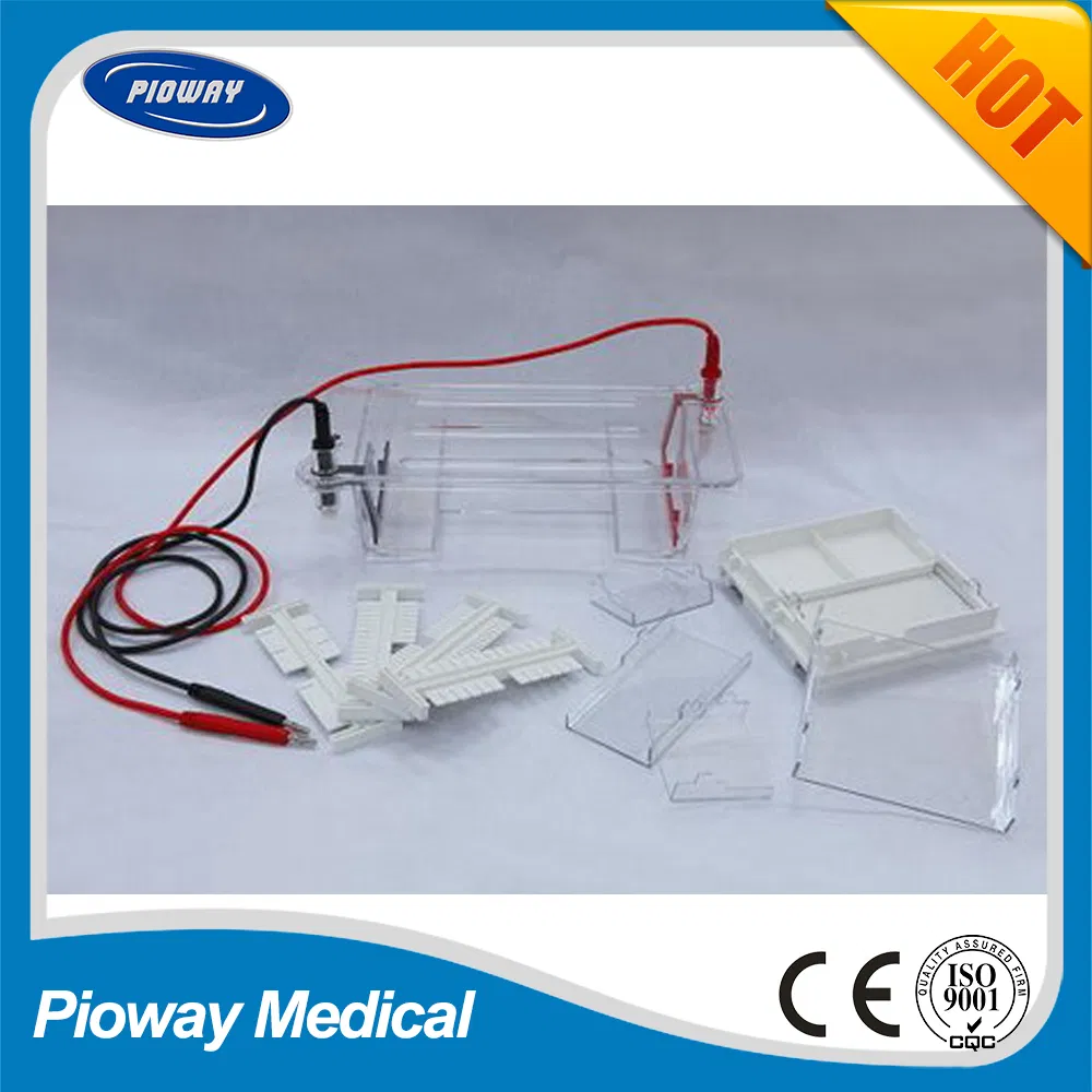 Electrophoresis System for DNA Electrophoresis, Horizontal (DYCP-31DN)