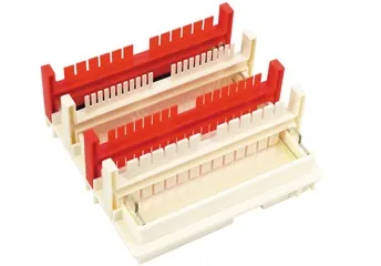 DNA Electrophoresis Detail 1