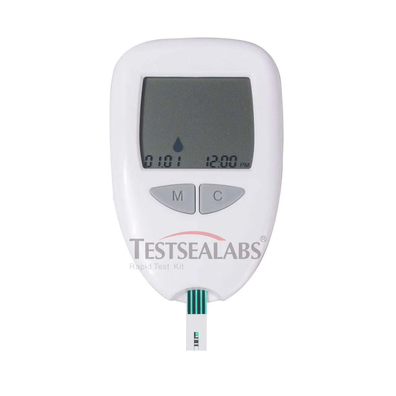 Home use Blood Glucose Monitor System with convenience