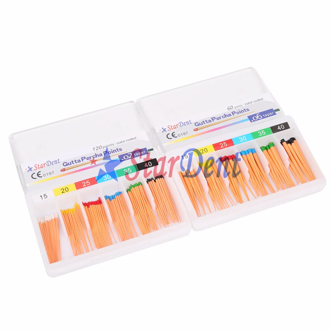 Dental Paper Point 2