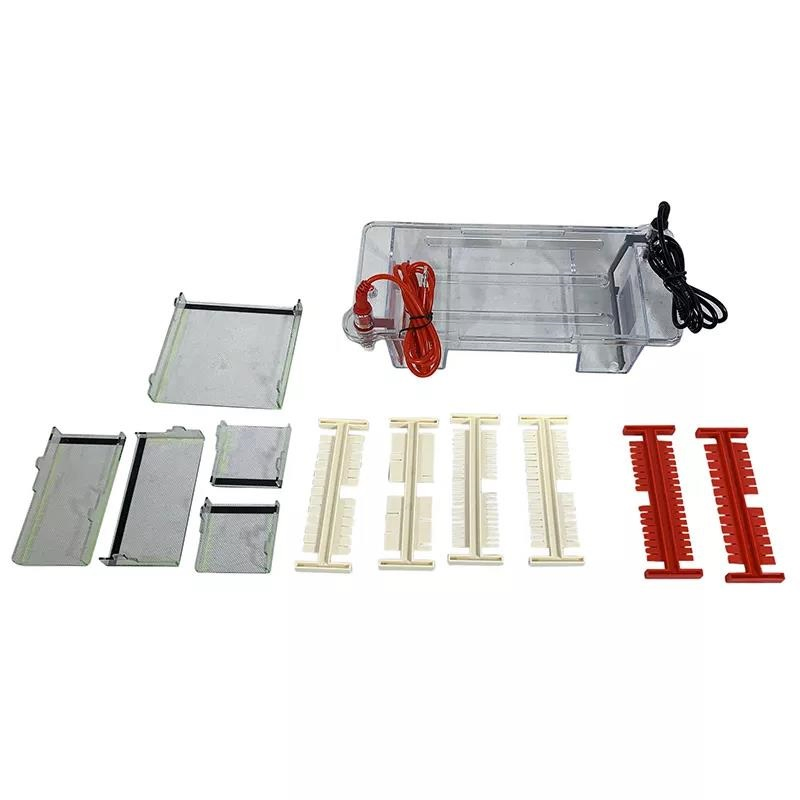 Electrophoresis System for DNA Electrophoresis, Horizontal (DYCP-31DN)