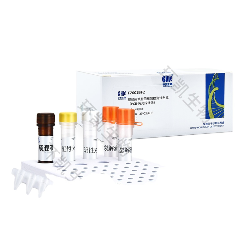 Real Time Test Kit PCR Detection Kit for Escherichia Coli O157: H7 PCR Fluorescent Probe Assays