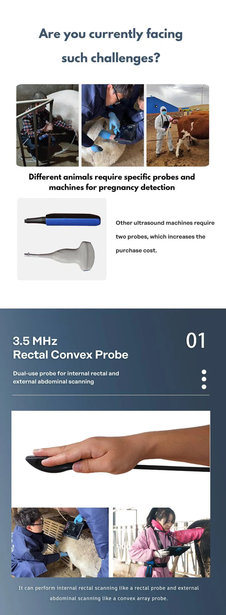 Ultrasound Imaging Display