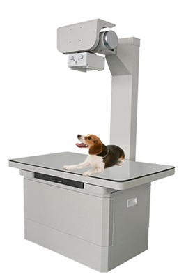 Reliable Veterinary Pet X Ray Machine with Advanced Imaging Technology