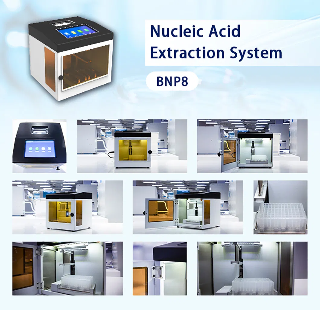 Nucleic Acid Extraction System Detail