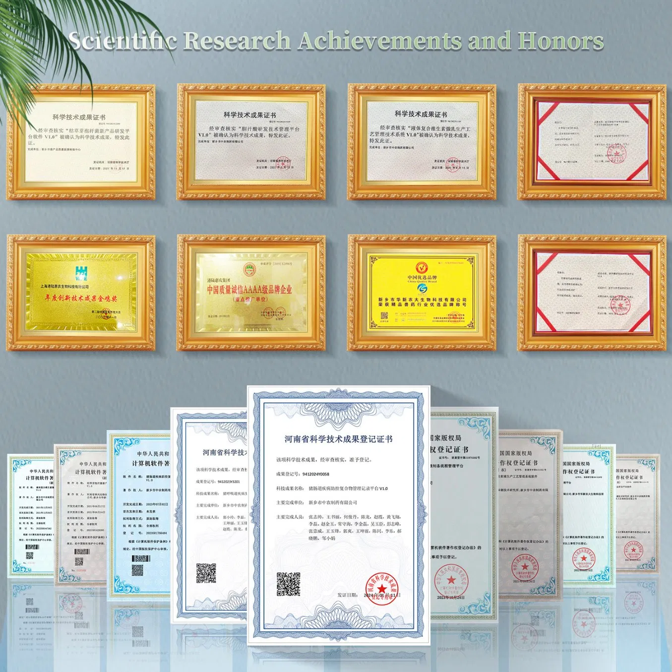 Custom Logo Pharmaceutical Chemical Veterinary Antibacterial Drug Enrofloxacin Oral Solution 10% 20% Chicken Poultry Medicine