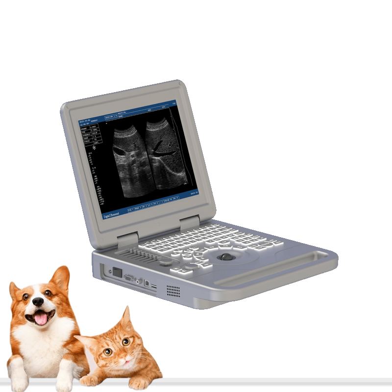 Animal Handheld High-Performance Full Digital Black and White Veterinary Diagnostic Ultrasound Machine for Health Monitoring