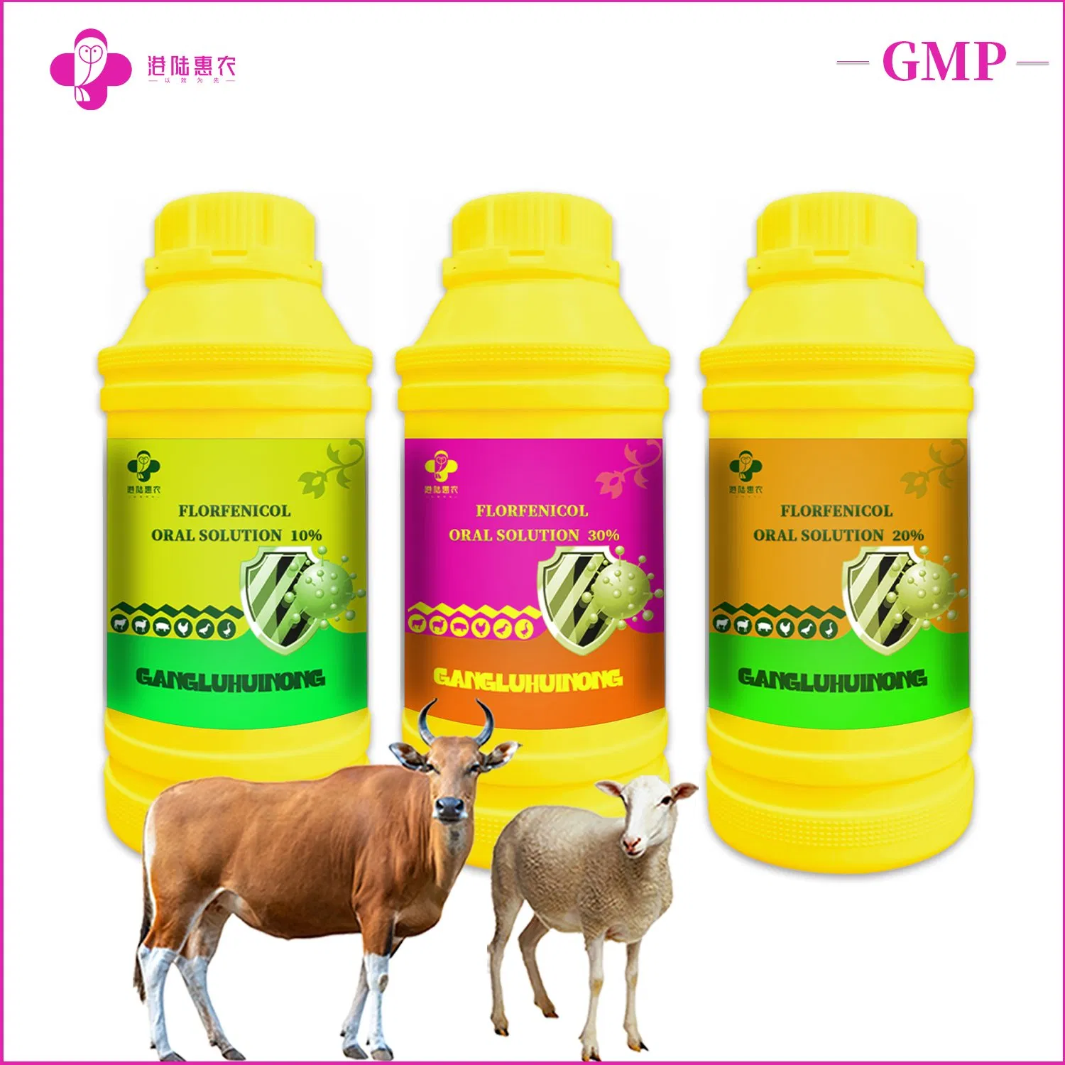 Factory Bulk Price Veterinary Medical Antibiotic Medicine Pharmaceutical Chemical Veterinary Enrofloxacin Oral Solution 10% 20% for Poultry and Livestock