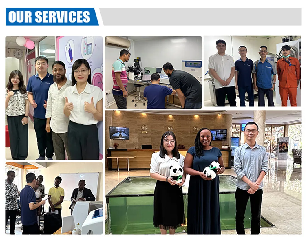 Professional Service