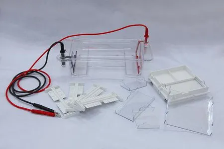 Electrophoresis System for DNA Electrophoresis