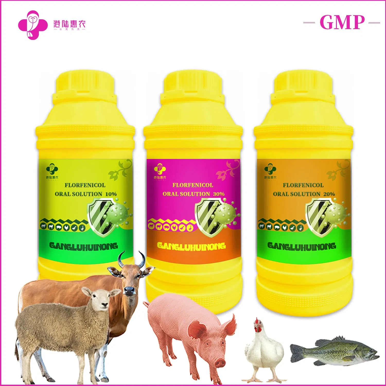 OEM Factory Veterinary Solution Poultry Drug Enrofloxacin Oral Solution 10% 20% Antibacterial Medicine Treating Digestive Tract Diseases