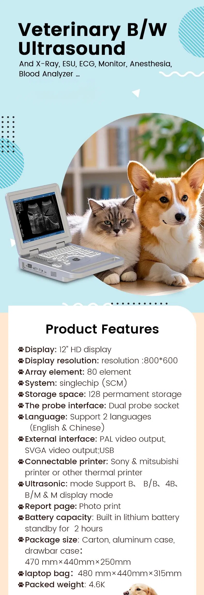 Veterinary Ultrasound Display