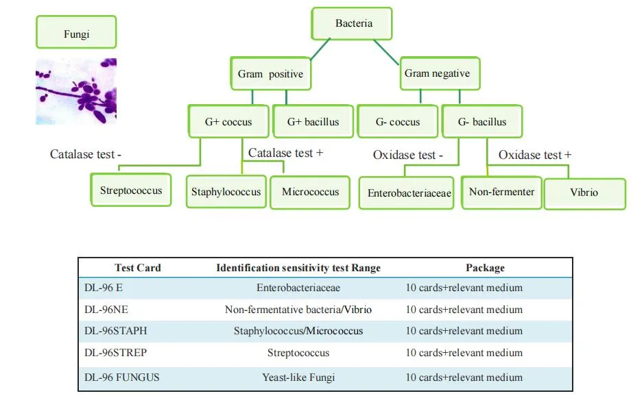 ID/AST System Photo 5