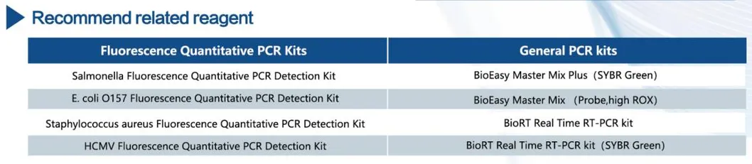 Measurement Details