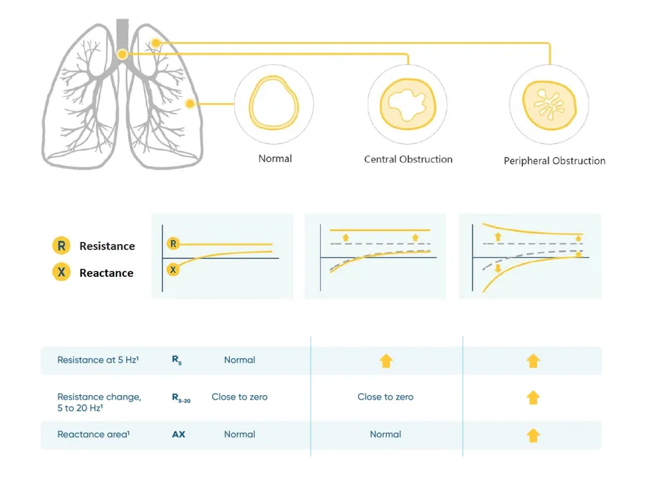IOS Technical Principle