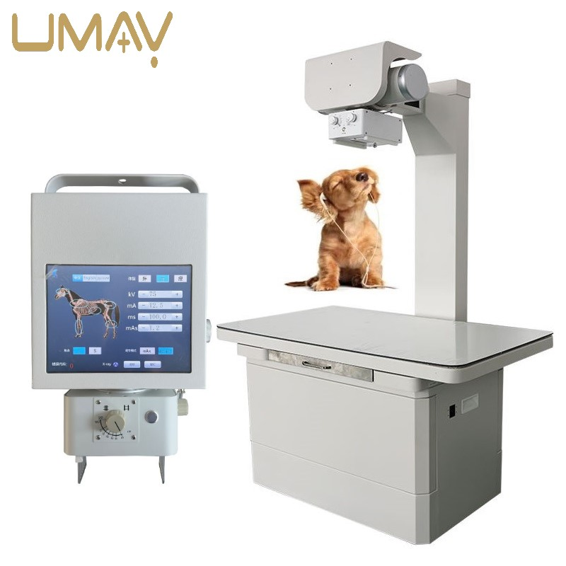 Reliable Veterinary Pet X Ray Machine with Advanced Imaging Technology
