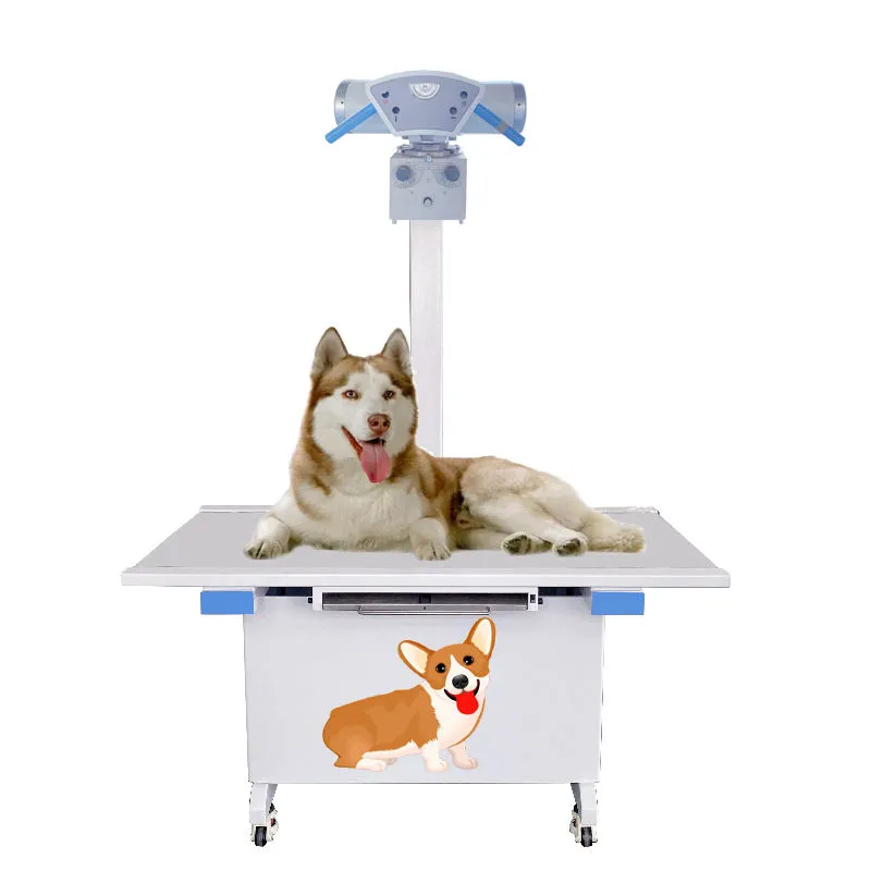 Veterinary Instrument 1