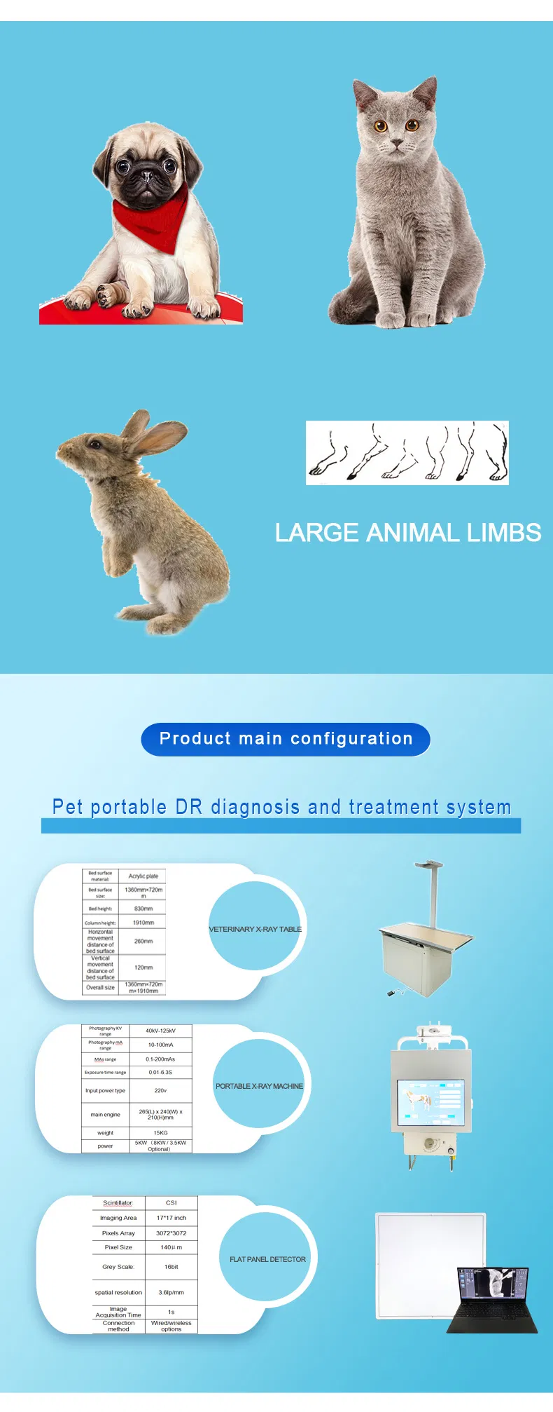 Veterinary X-ray Equipment