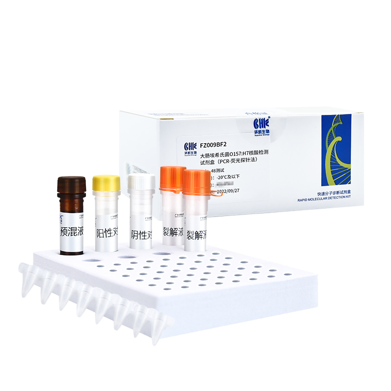 Real Time Test Kit PCR Detection Kit for Escherichia Coli O157: H7 PCR Fluorescent Probe Assays