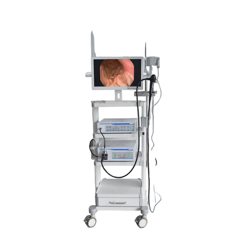 Advanced Flexible Gatsroscope for Precision Medical Imaging Diagnostics