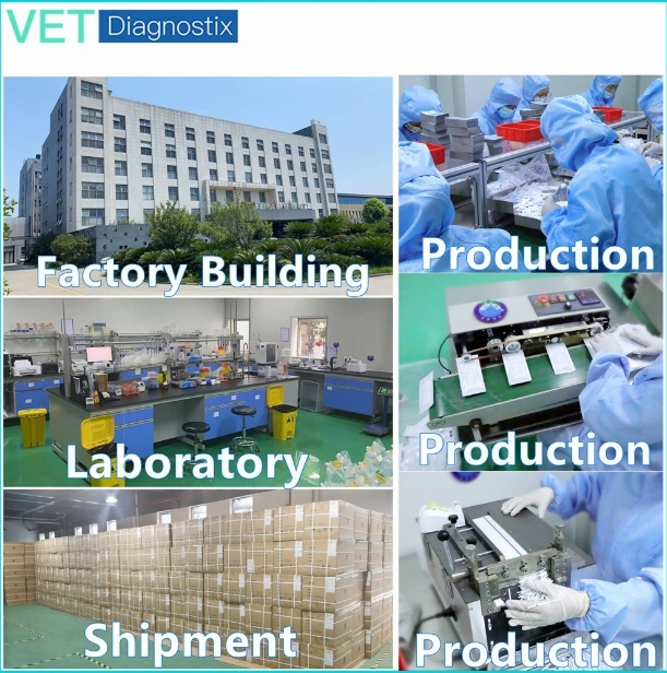 Poultry Infectious Bursal Disease Virus Antigen Test Kit (IBDV AG)