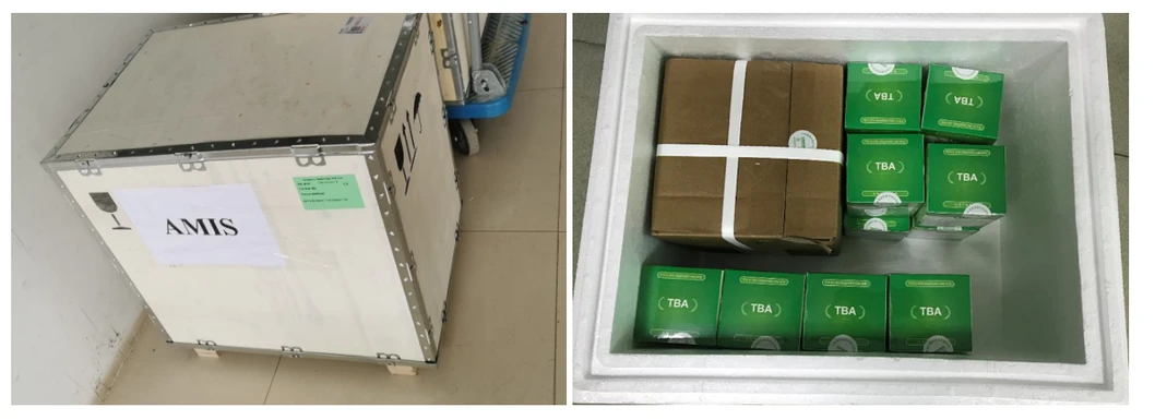 Wooden Case Packaging