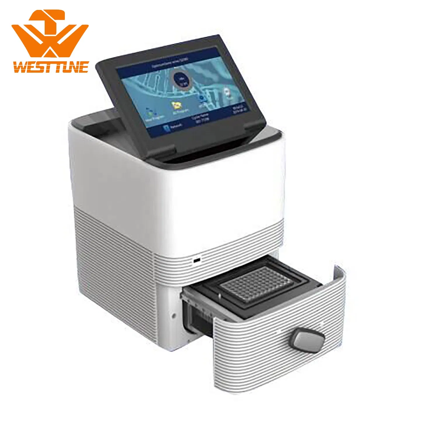 Factory Price 96 Wells Peltier Thermal Cycler Real Time PCR System