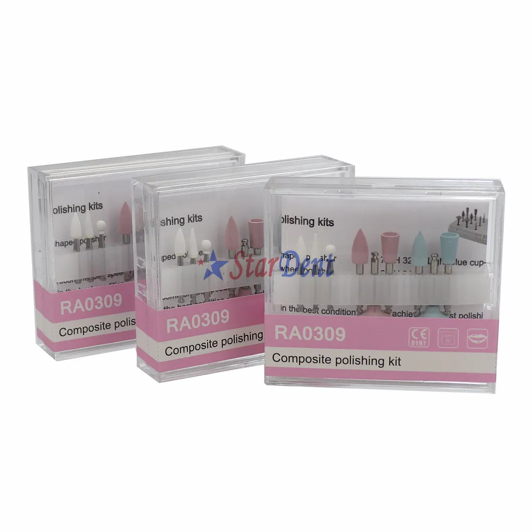 Dental Polishing Kit 2