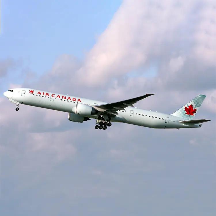 China Shipping from China to Amazon FBA in Canada Agent, Exporter