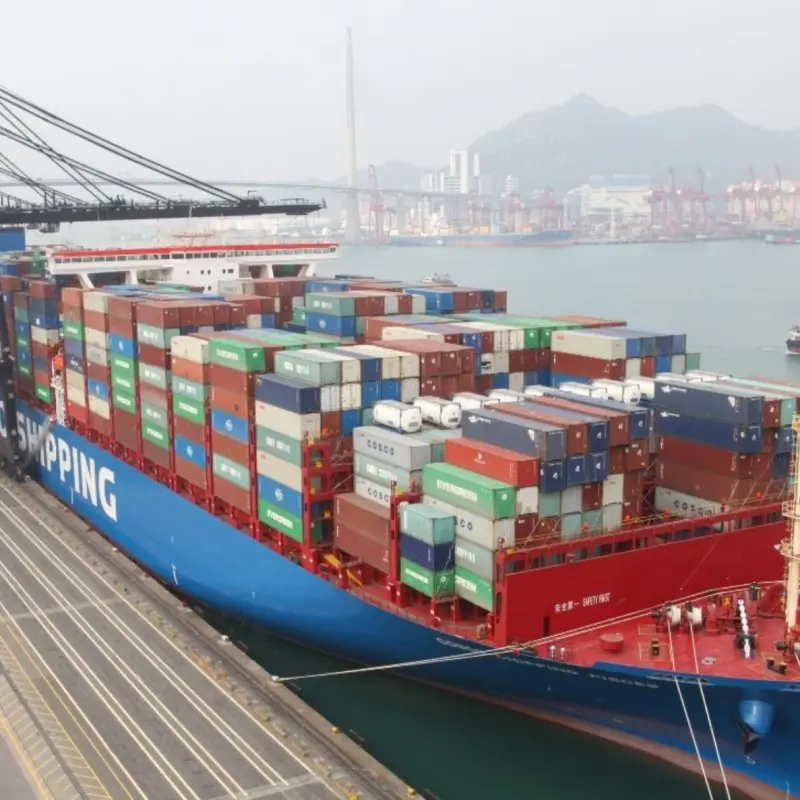 China FCL Shipment To All Over the World Supplier, Suppliers