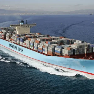 China FCL Shipment World Supplier