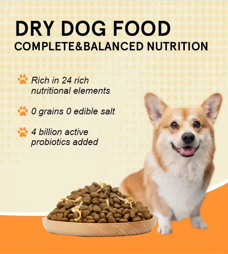 Factory Direct Supply Free Sample High Protein Nutritious Dry Dog Pet Food