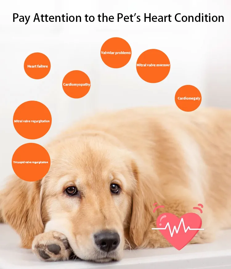 Pinobendan Tablets 3