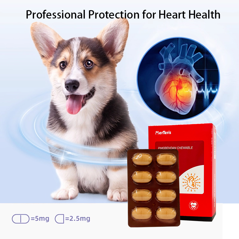 Bulk Pimobendan Chewables Supplier Treatment for Canine Congestive Heart Failure