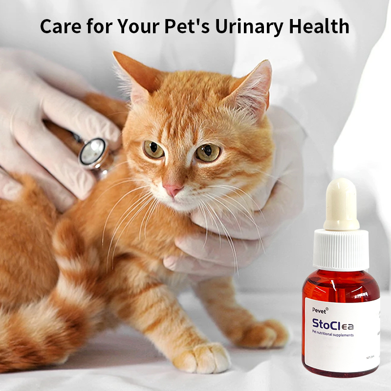 Vet-Recommended Pet Urinary Stone Prevention Oral Liquid