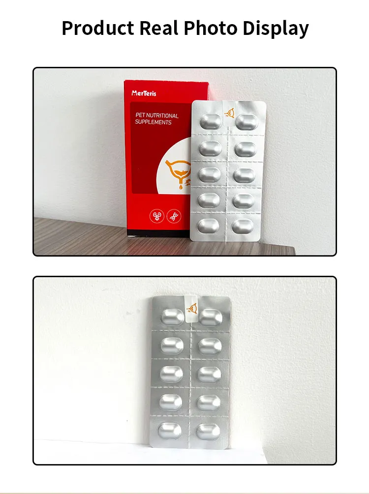 Cat Urinary Tract Health 8